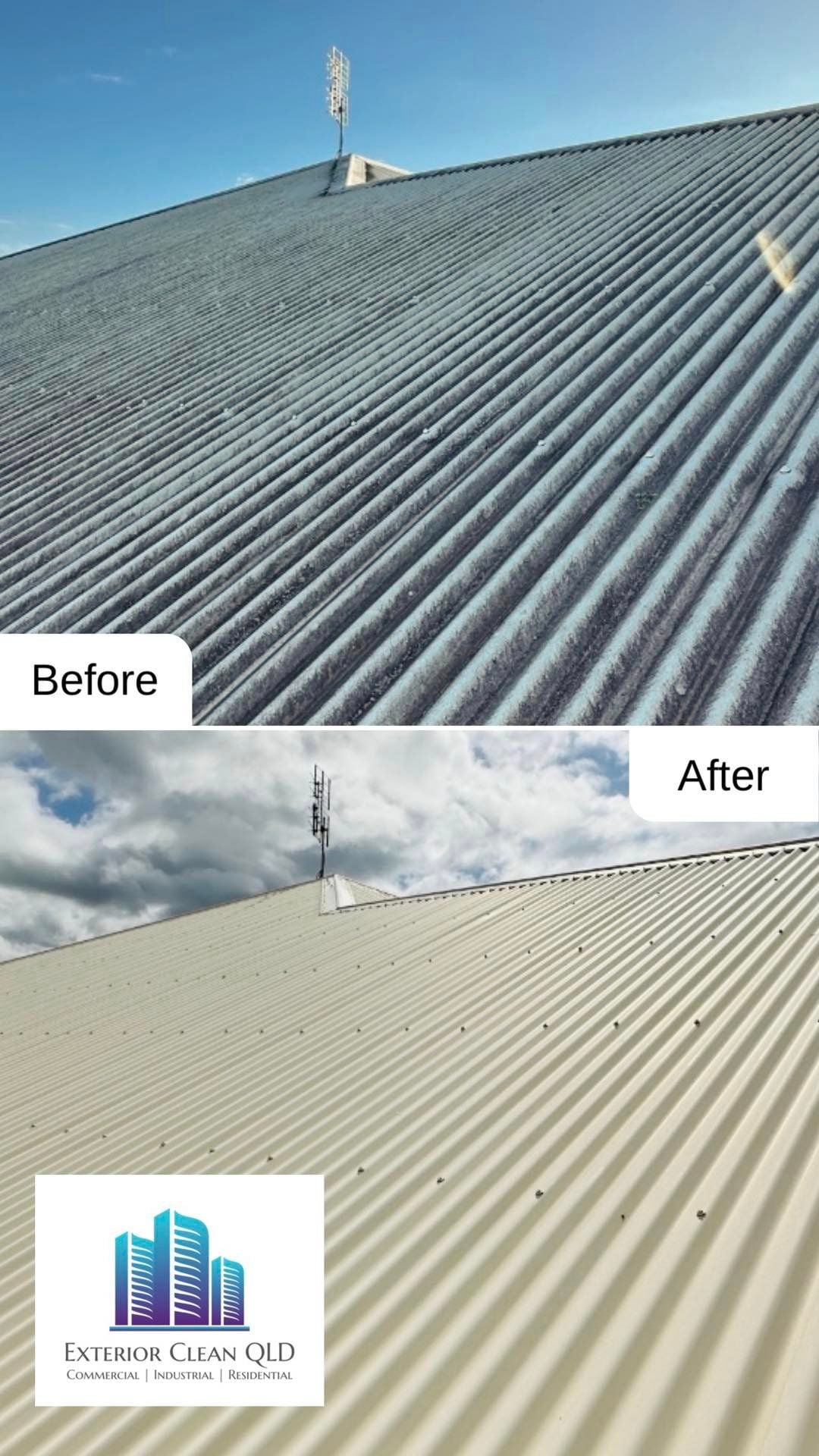 roof cleaning